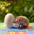 thumbnail image 4 of Bouteille d'Eau pour Petits Animaux, Abreuvoir Automatique, 4 of 5