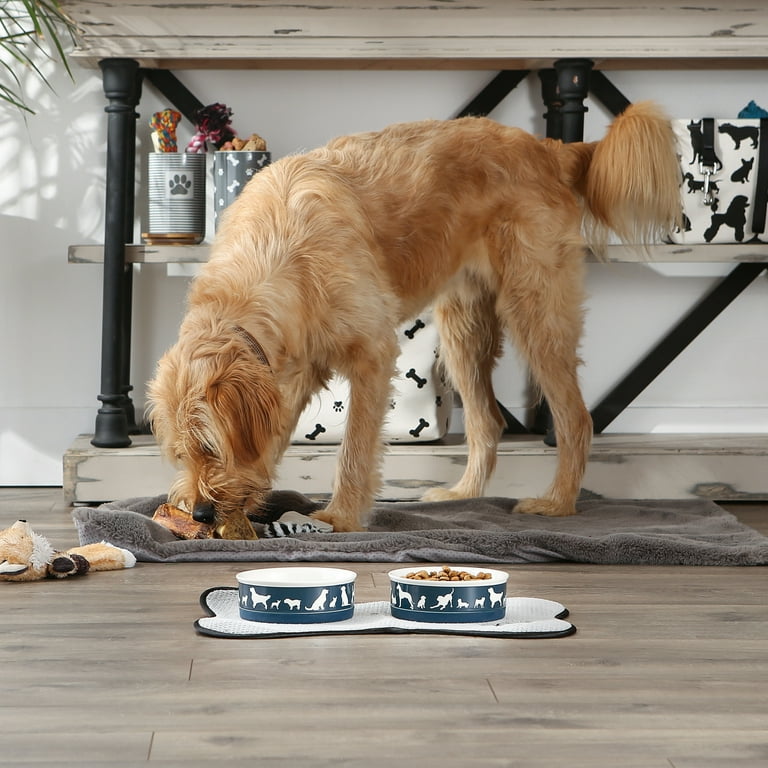 Bone Dry Ceramic Dog Bowl Set Microwave Dishwasher Safe Medium 6x2