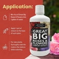 thumbnail image 3 of Great Big Roses & Flowers Compost Extract - 1 Gallon, 3 of 5