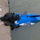 thumbnail image 2 of Chaleco salvavidas para perros Ripstop Shark, ajustable, con flotabilidad y asa de rescate duradera (azul), 2 of 5