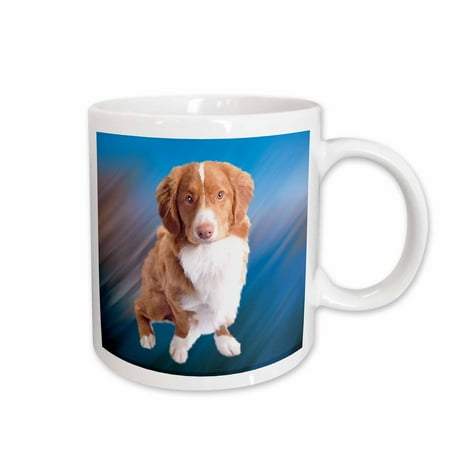 

3dRose Nova Scotia Duck Tolling Ceramic Mug 15-ounce