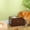 Brown, variant on PawHut Magnetic-Door Dog Food Storage Cabinet & Dog Feeding Station, Gray