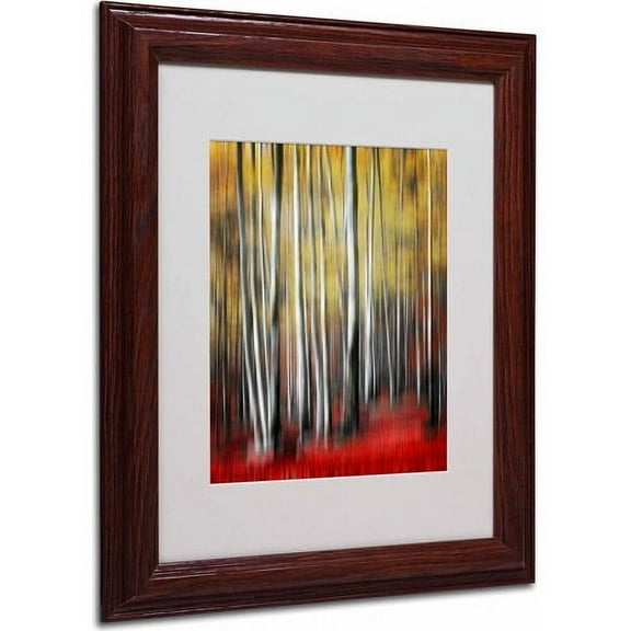 Trademark Fine Art "Osmosis" Canvas Art by Philippe Sainte-Laudy, Wood Frame