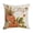B001- Style A, variant on 18X18 Inch Autumn Throw Pillow Cover, Fall Home Decor Indoor, Farmhouse Fall Decor, Fall Leaves Decor, Seasonal Home Decor, Rustic Watercolor Pumpkin Maple Leaf Print Pillow Case