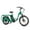 Green, variant on Addmotor Electric Bike for Adult, 48V 20AH Single Battery System, GRAOOPRO Electric Bicycle with Passenger Seat, 750W 105Mile Cargo Ebike, Orange