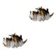 thumbnail image 3 of Advancent 50 Pcs Feather for Hat and Natural DIY Headgear Decor Craft estilo A 2Conjunto, 3 of 6