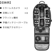 Tamrac Pasadena Camera Backpack (Black)