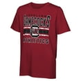 thumbnail image 2 of Preschool South Carolina Gamecocks In the Mix T-Shirt Combo Set, 2 of 4
