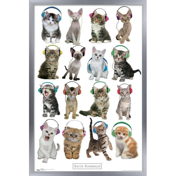 Keith Kimberlin - Kittens - Headphones Wall Poster, 14.725" x 22.375", Framed
