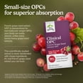 thumbnail image 4 of EuroPharma - Terry Naturally Clinical OPC Extra Strength 400 mg. - 60 Softgels, 4 of 8