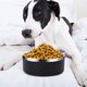 thumbnail image 4 of Cuenco para perros de 42 oz Cuenco de agua y comida para perros de acero inoxidable antiderrames Cuenco de agua para perros de metal antideslizante, 4 of 5