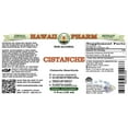 thumbnail image 2 of Cistanche (Cistanche Deserticola) Dry Herb ALCOHOL-FREE Liquid Extract. Expertly Extracted by Trusted HawaiiPharm Brand. Absolutely Natural. Proudly made in USA. Glycerite 4 Fl.Oz, 2 of 3