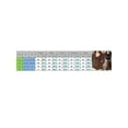 thumbnail image 3 of xiaxaixu Women Spring Autumn A-line Tops Solid Color Long Sleeve Ruffle Trim Casual T-shirt, 3 of 9