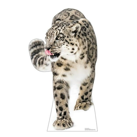 43 x 24 in. Snow Leopard Life-Size Cardboard Cutout