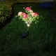 thumbnail image 5 of Cateissary Luces de flores con energía solar, luces decorativas para césped al aire libre, luz solar para césped de rosas, jardín y patio Iluminación y accesorios Púrpura, 5 of 6