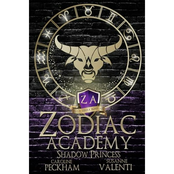 Pre-Owned Zodiac Academy 4: Shadow Princess Paperback