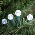 thumbnail image 2 of Northlight LED G12 Berry Christmas Lights - Pure White - 16' Green Wire - 50ct, 2 of 5