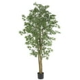 thumbnail image 1 of Nearly Natural 5297 Japanese Maple Silk Tree, 6-Feet, Green, 1 of 6