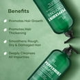 thumbnail image 3 of Botanic Hearth Peppermint Oil Shampoo and Conditioner Set with Keratin, Sulfate-Free Hair Care for Men and Women, 16 fl oz Each, 3 of 9