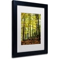 thumbnail image 2 of Trademark Fine Art "Pause" Canvas Art by Philippe Sainte-Laudy White Matte, Black Frame, 2 of 4