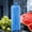 B, variant on Reusable Ice Blocks for Coolers with Ice Crystal, Long Lasting Freezer Packs for Portable Air Conditioner Fan, Leak-Proof Cooling Gel Packs for Lunch Bags & Food Refrigeration, Plastic Ice Box