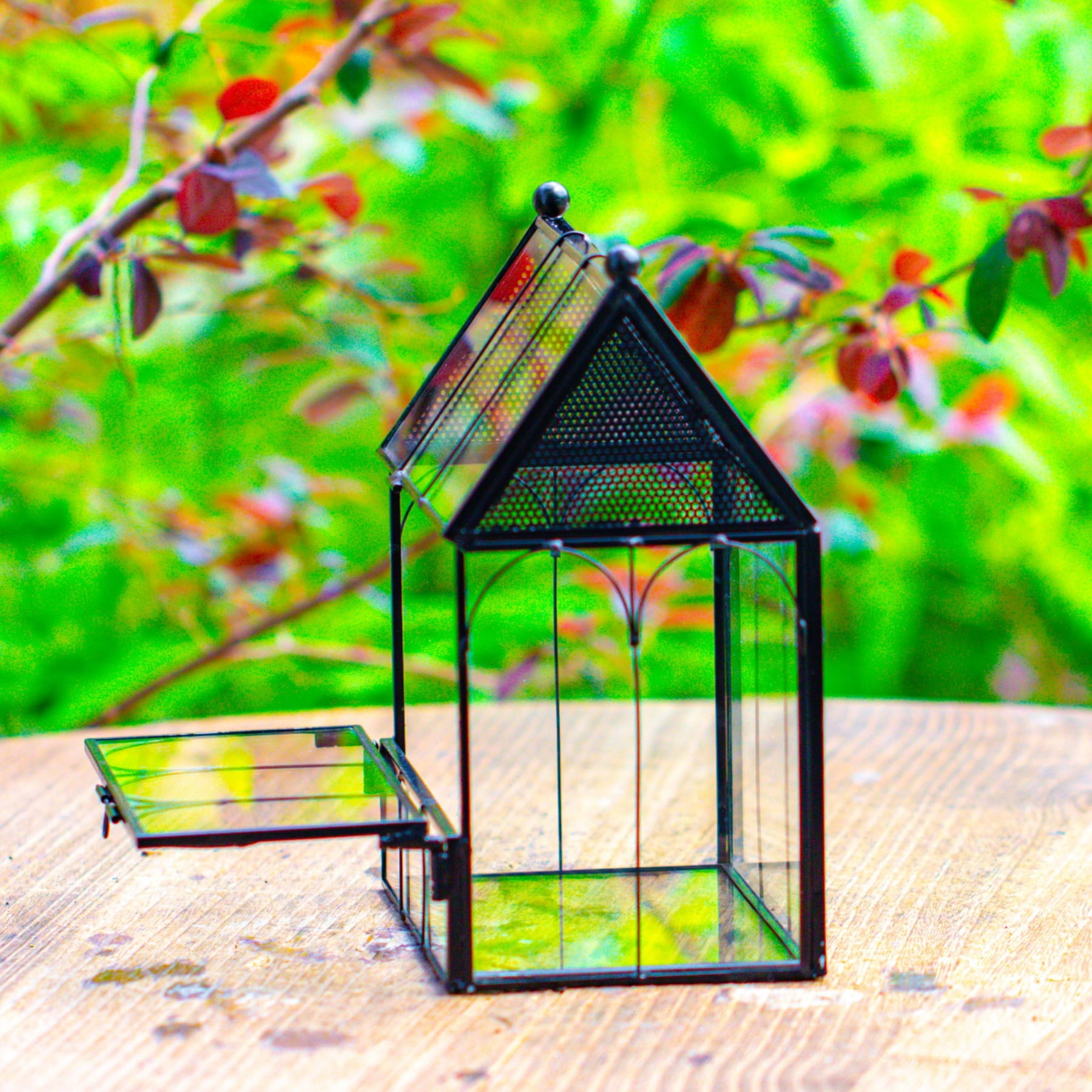 NCYP Small House Shaped Spider Enclosure Terrarium with Mesh, and Front Opening Door, Stainless Steel and Glass, Jumping Spider Small Insect Habitat, Terrarium Only
