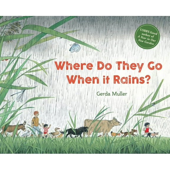 Where Do They Go When It Rains? (Hardcover)