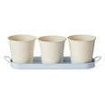 thumbnail image 1 of FRAÎCHE Spring Metal Herb Planter Set, 3 count, 1 of 4