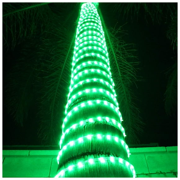 Russell Decor LED Rope Lights Festival Holiday Party Seasonal Christmas Decoration 30ft - 200ft Customized Available (Green, 50)