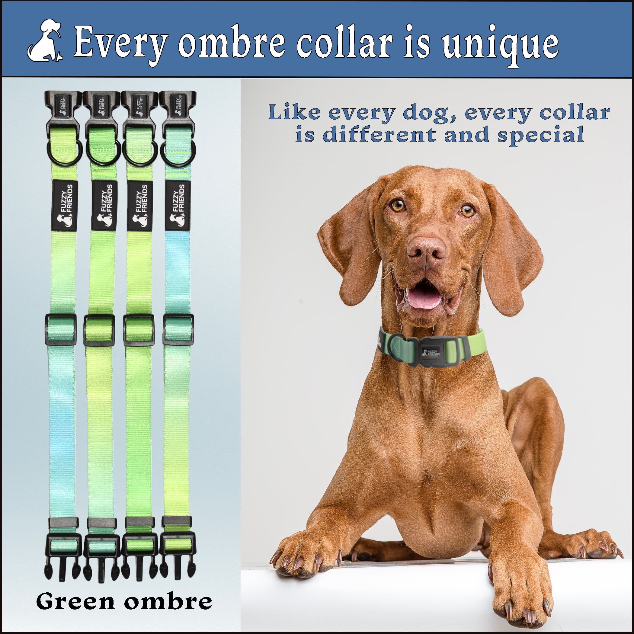 Where Should A Dogs Collar Sit