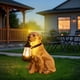 thumbnail image 1 of Adorno Colgante Solar con Forma de Cachorro | Material: Resina | Color: Amarillo | Tamaño: 30 Cm | Luz Led Solar | Decoración para Jardín | 1 Unidad, 1 of 6