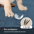 thumbnail image 4 of Funda de cama impermeable para perros, funda de sofá para mascotas Fuguitex, 4 of 7