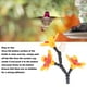 thumbnail image 4 of DIY Comedero Para Colibríes, Botella Reciclable, Seguro, Inofensivo, Kit De Flores Para Alimentación De Pájaros Para Jardín Al Aire Libre Y Patio, 4 of 7