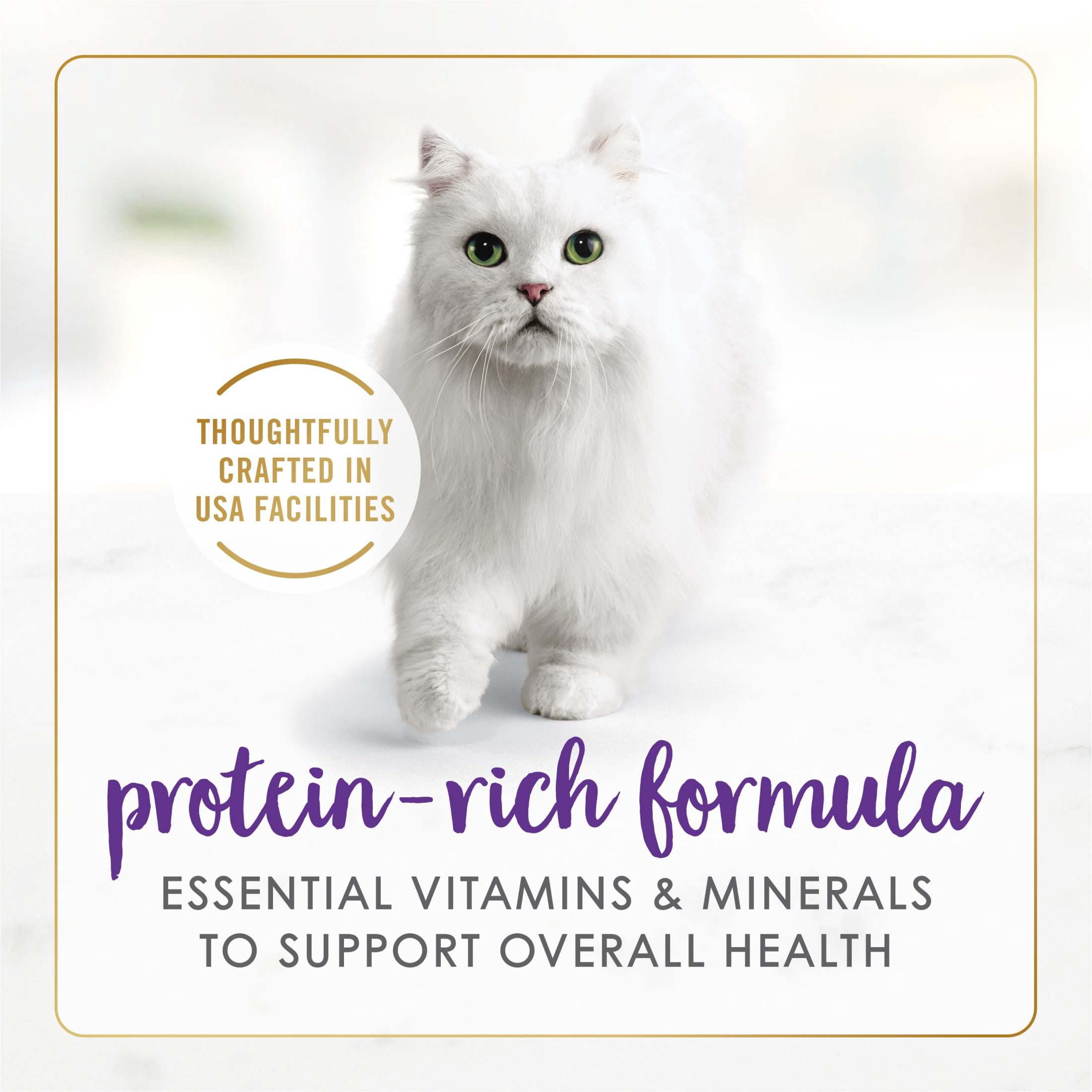 (24 pack) Purina Fancy Feast Delights with Cheddar Wet Cat Food, Grilled Turkey & Cheddar, 3 oz Cans