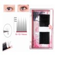 thumbnail image 1 of 0.03mm Extensiones De Pestañas Postizas C Curl Lash Black esquí esquí Gafas de esquí, 1 of 5
