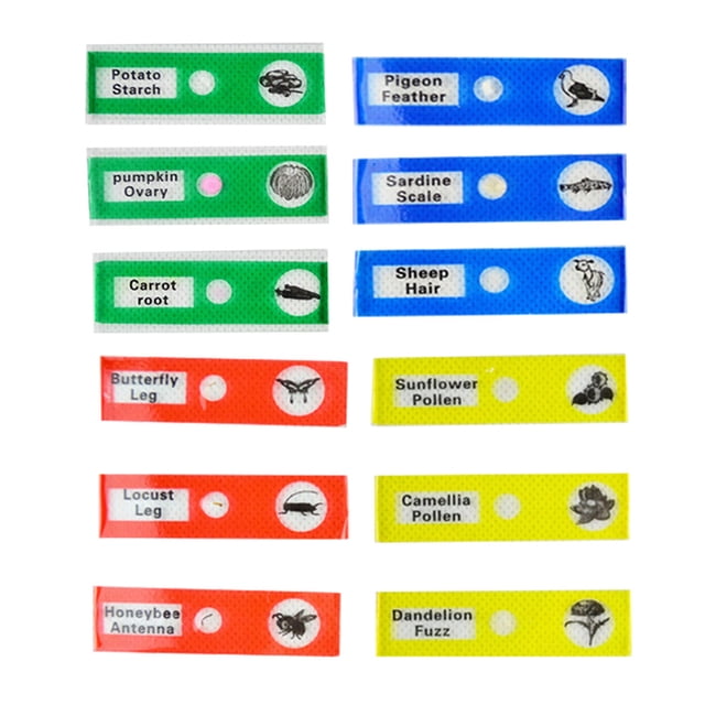 MasteelfCA 12pcs Prepared Plastic Microscope Slides Biological Specimen with 1 Box for Children Student Education (Assorted Color)