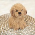 thumbnail image 3 of Juguete de peluche DEMDACO Chihuahua negro de pelo largo, 3 of 6