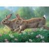 thumbnail image 2 of Arbustos animales pintura al óleo por números Kit DIY decoración del hogar regalo cuadros de pared Likrtyny decoración de arte, 2 of 9
