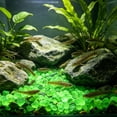 thumbnail image 4 of Glow Stone, 5x9mm Mini Fluorescent Pebbles,Luminescent Gravel, Versatile Aquascaping Material for Fish Tank Vase Filler Gardening and Indoor Decoration, 4 of 6