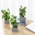 thumbnail image 4 of MyGift Artificial Taro Plants Faux Greenery in Gray Cement Square Pots, Set of 3, 4 of 6