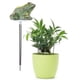 thumbnail image 1 of Lindo Medidor de Humedad Del Función de Sensor de Humedad de La Planta para Inddor Outdoor Bonsai Farm Yard de Plantas Recordator Soledad Medidor de humedad del suelo, 1 of 10
