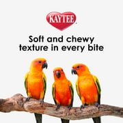 Kaytee Nutri Soft Pet Parrot & Conure Bird Food Seed, 3 Pound