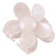 thumbnail image 1 of Pinzas para el Pelo con Flores de Acetato de 2,75 Pulgadas, Bonitas Pinzas para el Pelo con Margaritas para Cabello Fino, Pinzas Florales Grandes para Mujeres y NiñAs D, 1 of 5
