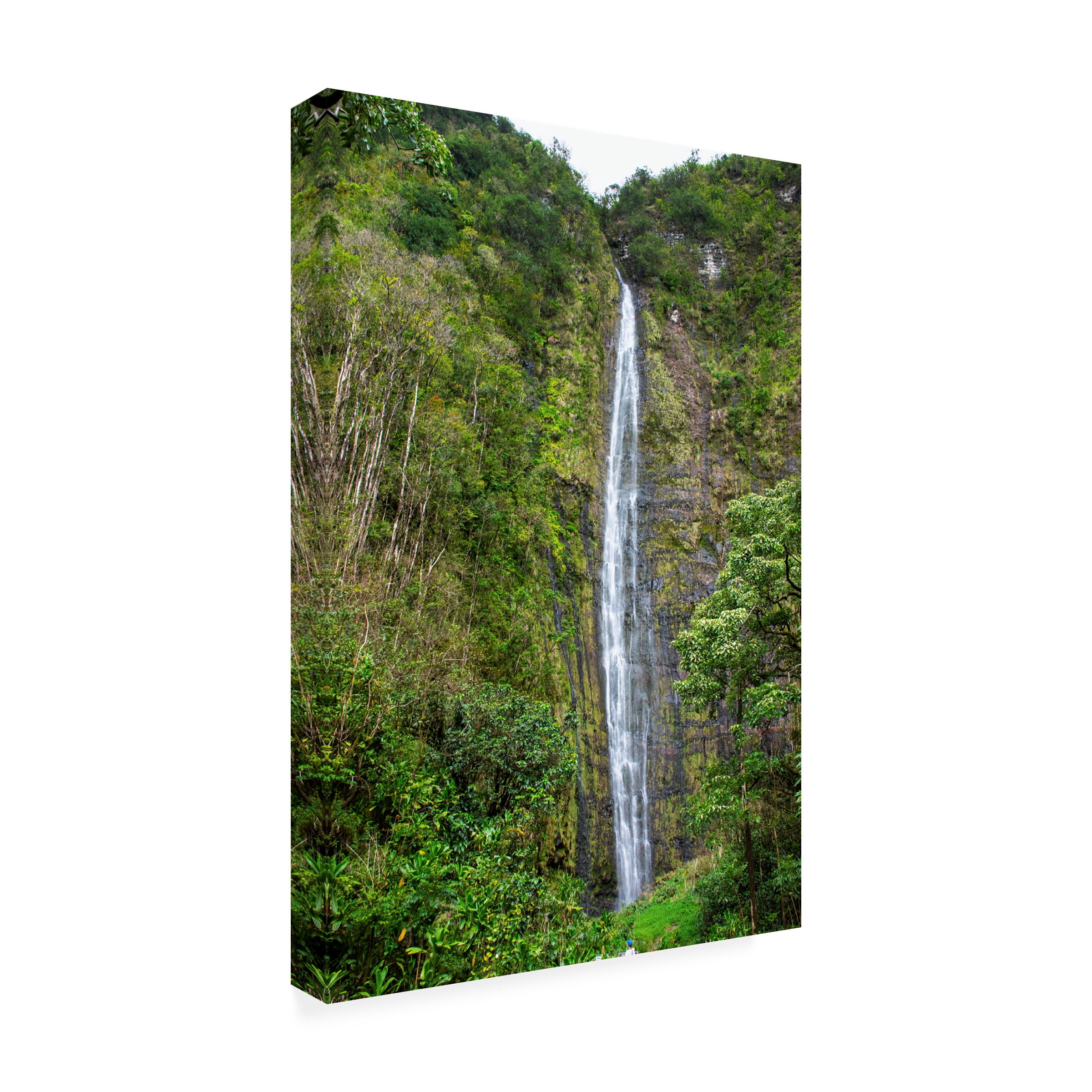 Robert Michaud 'Waimoku Falls' Canvas Art