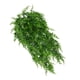 thumbnail image 3 of Helecho artificial montado en la pared, oficina en casa, planta verde, vid, banquete de boda, decoración Plantas de plástico 2 Piezas sidaley  HA6617-00B*2, 3 of 6