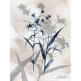 thumbnail image 3 of Butler, John 15x18 Black Modern Framed Museum Art Print Titled - Indigo Bloom IV, 3 of 5