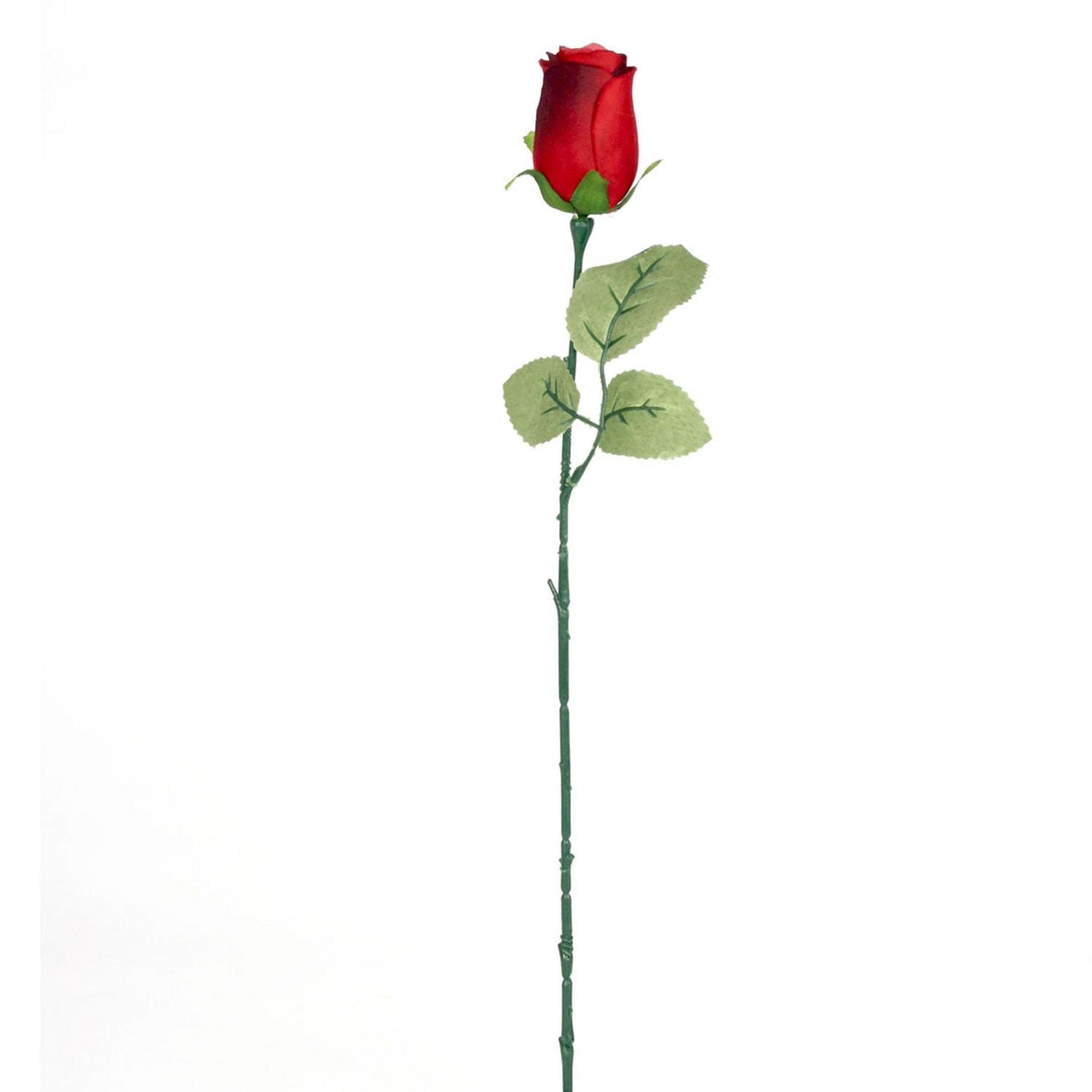 Tout pour Célébrer Unique Rouge Toujours Rose