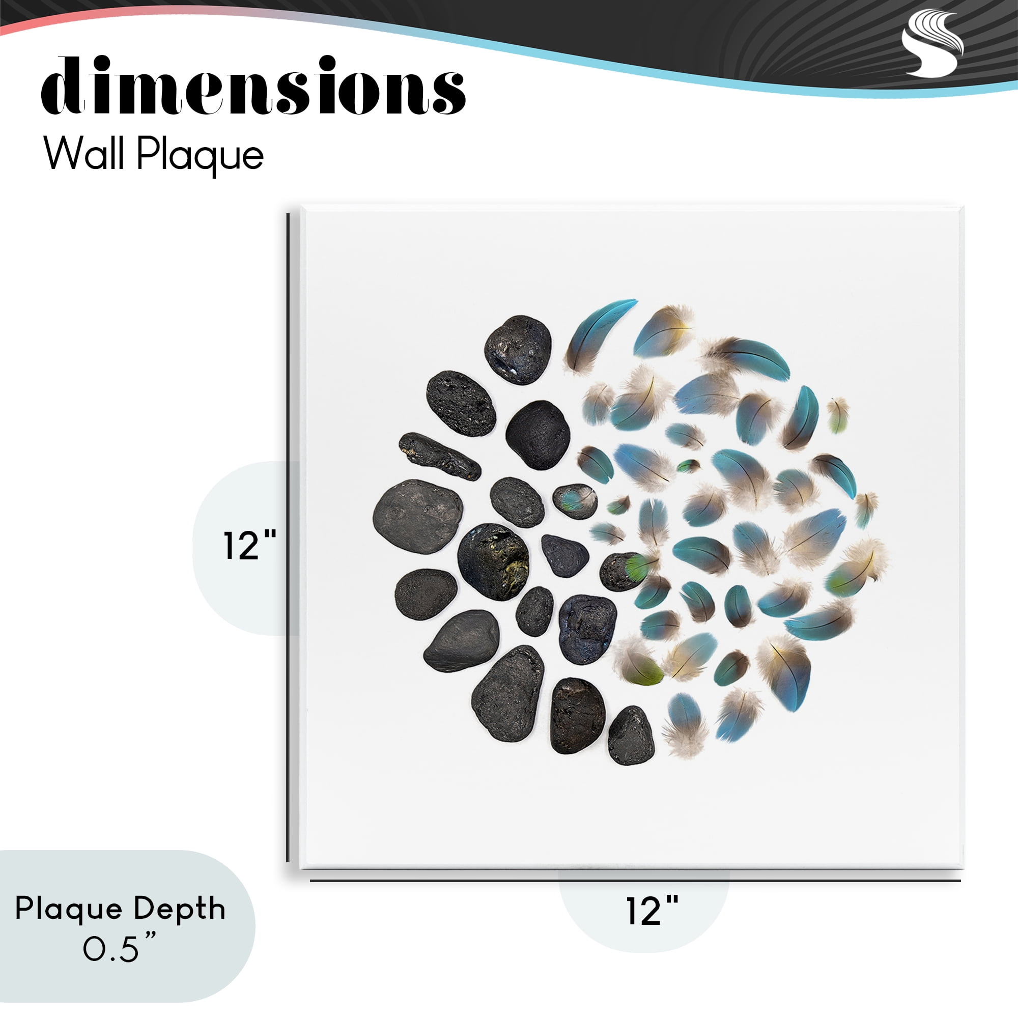 Stupell Industries Feathers & Rocks Collection Wall Plaque Art, design by Beth Adoette