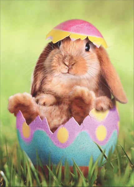 Avanti greeting card Easter 
