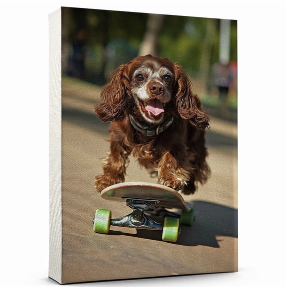 Sussex Spaniel Dog Stretched Canvas Size 8x12 Skateboarding Canvas – Funny Sussex Spaniel Dog Team Player Wall Art, Ideal Gift Skateboarding , Dog Owner